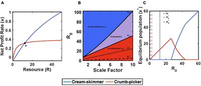 Coexistence of “Cream Skimmer” and “Crumb Picker” Phenotypes in Nature and in Cancer